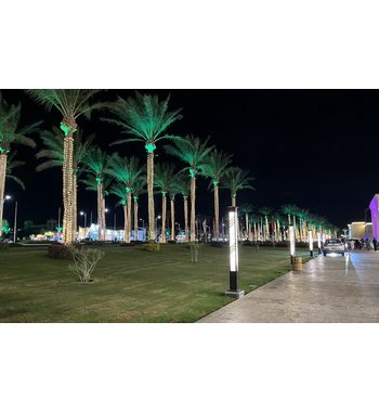 Египет по самым выгодным ценам !